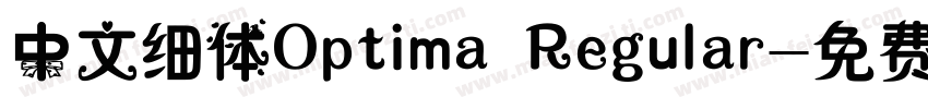 中文细体Optima Regular字体转换